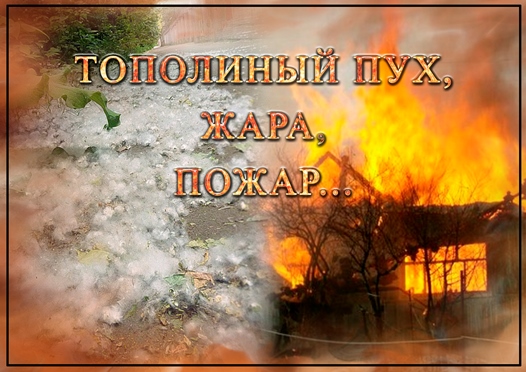 Тополиный пух, Жара, Пожар…….. Тополиный пух, Жара, Пожар……..